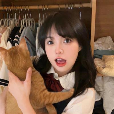 狗狗的旅程